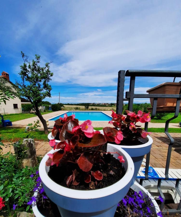 Moratto'S Apartments Umag Exterior photo